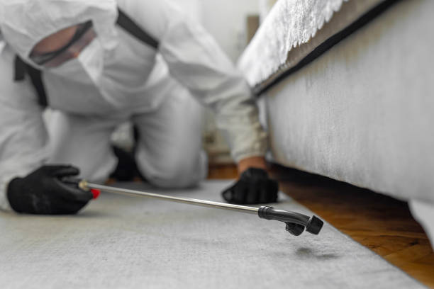 Professional Bed Bug Control technician working in Bally, PA