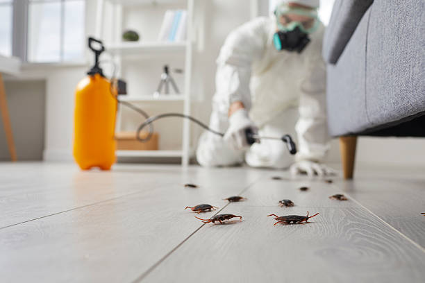 Trusted Cockroach Control service in Bally, PA - Nex Pest Control